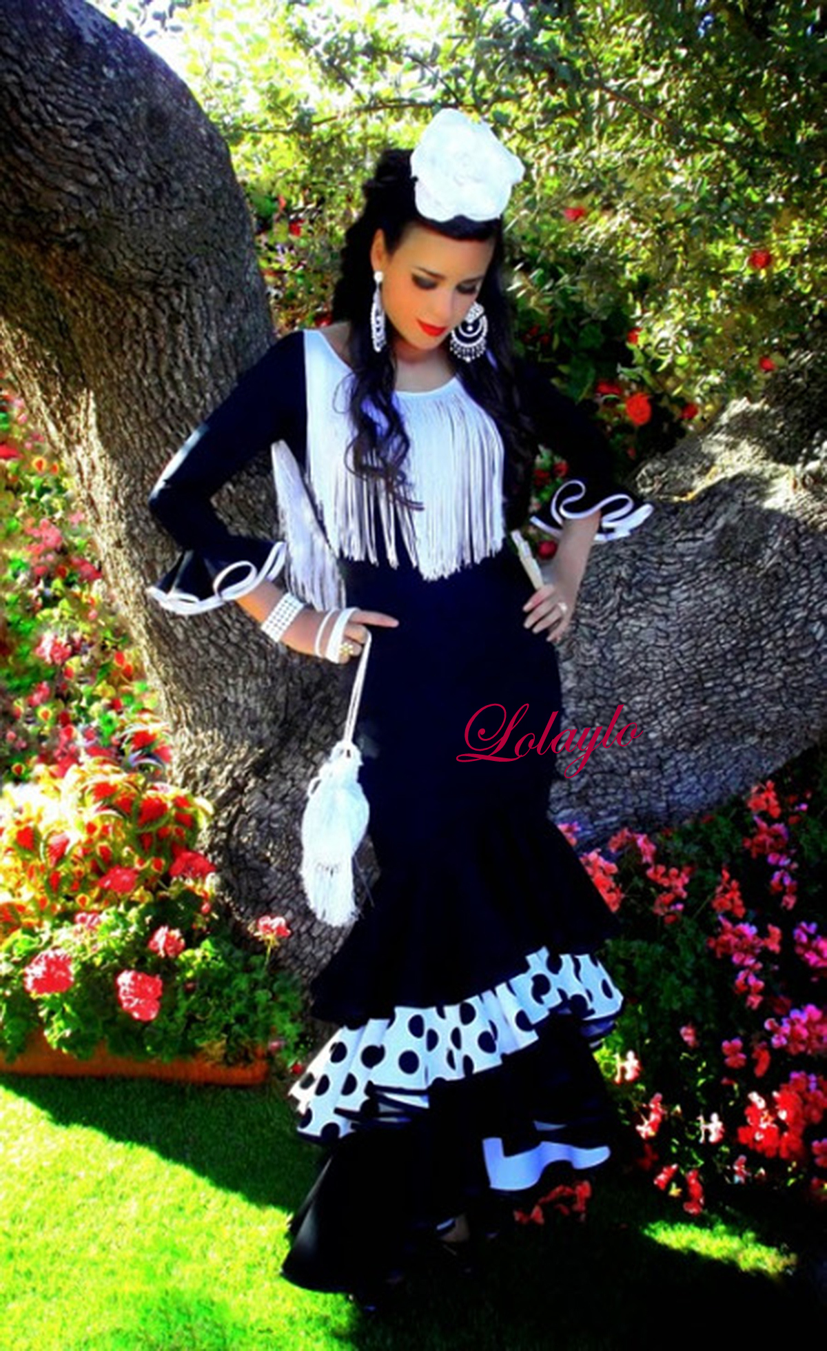 06586-negro-2blunar2bpositivo