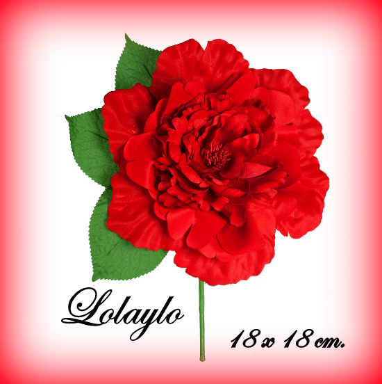 Captura de pantalla completa 19012018 220817 - copia